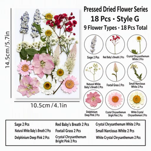 Fleurs séchées pressées en vrac, kit de spécimens botaniques pour la résine, scrapbooking, décoration DIY, couleurs assorties, 16-23 pièces - Product Image 5