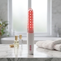 Équipement laser à diode certifié CE pour le traitement de la vaginite, de l'inflammation gynécologique et de la cervicite