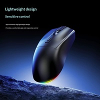 Mouse Nirkabel 24G Dual-Mode Baru, Desain Ringan, Kompatibel Gaming Esports, Laptop, Desktop, Dilengkapi USB