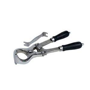Pince de Castration Vétérinaire Réutilisable en Acier Inoxydable – Instrument Chirurgical pour Équipement Hospitalier et Clinique - Product Image 3