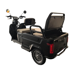 Tricycle électrique ouvert à 3 places, 60V, cadre en acier (homologué DOT), transport lourd, autonomie de 30 à 50 km, pour le transport de personnel et d'équipements dans les parcs de recherche - Product Image 5