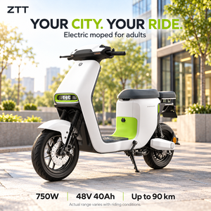 Monopattino Elettrico LUYUAN ZTT ad Alta Capacità 48V 40Ah con Motore da 750W e Lunga Autonomia - Product Image 6