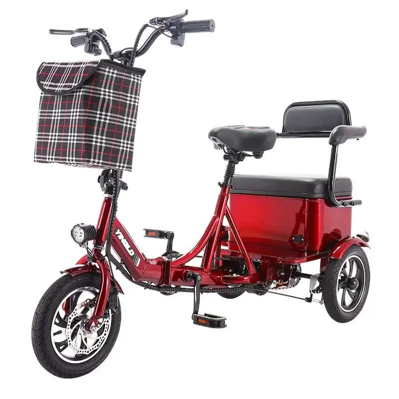 Famiglia 3 ruote triciclo elettrico per anziani pieghevole 20 pollici bicicletta elettrica per gli uomini 350W 48V 2 posti Trike elettrico