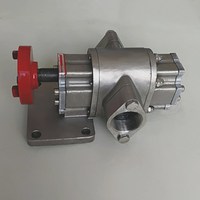 Pompe à engrenages en acier inoxydable haute température pour huile/aliments et miel, pompe de qualité supérieure