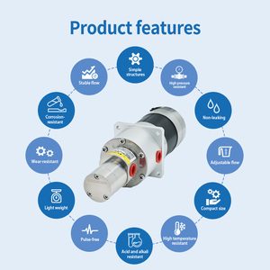 Pompe doseuse industrielle en acier inoxydable 316L 24V 120W, pompe à engrenages à entraînement magnétique 5 bars, qualité alimentaire, solaire, OEM - Product Image 2