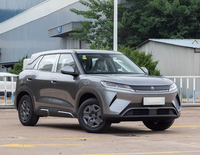 En stock – Nouvelle voiture SUV électrique BYD Yuan Up 301KM Leading Edition 2025 pour le marché mondial