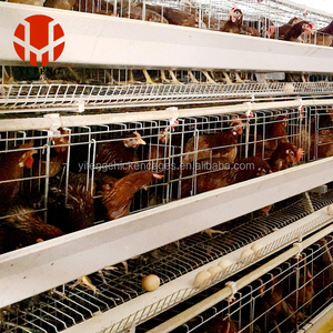 Lồng gà thương mại YIFENG mới để nuôi gà đẻ trứng, loại lồng tầng tự động cho trang trại gà mái đẻ - Product Image 1