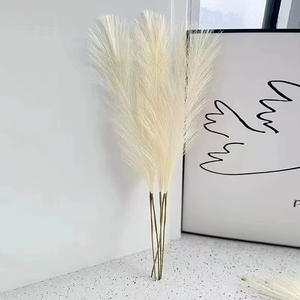 Mini <span class=keywords><strong>Fiori</strong></span> Artificiali in Seta di Pampas Reed 55cm Stile Bohémien Decorazione Casa Vendita Diretta Fabbrica Matrimonio Festa della Mamma Laurea - Product Image 1