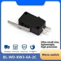 Micro-interrupteur personnalisable BL-WD-KW3-6A-2C, bouton de fin de course à contact ponctuel pour opérations à courant élevé