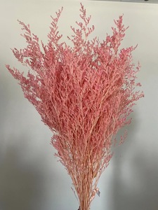 Fleur séchée en gros Statice Caspia, Herbe Brumeuse, Limonium Préservé, Lavande de Mer, Fleur séchée de Limonium pour Événements et Décoration de Mariage - Product Image 6