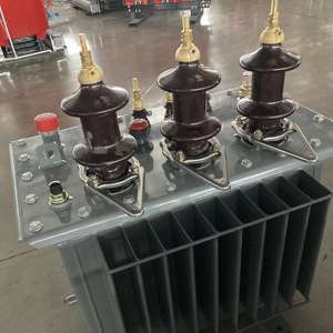 <span class=keywords><strong>10KV</strong></span> giriş 35KV 50HZ 60HZ 380V 400V 220V yıldırım koruma parafudr hazır üç fazlı temel yağ dolu trafo - Product Image 5