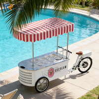 Mobiele ijskar met vriesvak, te koop. Draagbare koelplaat gelato kar voor buitenactiviteiten.
