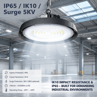 Projecteur LED High Bay 140LM/W 100-200W avec Driver de Grande Marque, Étanchéité IP65 et Dissipateur de Chaleur Creux IK10
