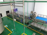 Rvs Type Sorteren Machine Groente Sorteren Machine Ananas Sorter/Sorteermachine