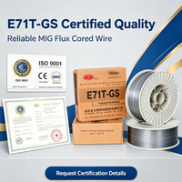 Fil de soudage sans gaz E71T-GS 1,0 mm 1 kg, fil fourré sans gaz pour acier doux AWS A5.20, bobine de 2 lb, Drut Proszkowy