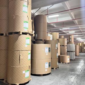 200-400g Super High Bulk Single Side Anti-Curl <b>Roll</b> and Sheets Coated Paper Board - Product Image 6