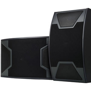 ลำโพงคาราโอเกะ COV ขนาด <span class=keywords><strong>10</strong></span> <span class=keywords><strong>นิ้ว</strong></span> <span class=keywords><strong>ตู้</strong></span>ไม้ กวางโจว - Product Image 3