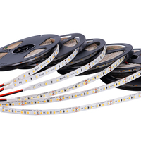 Bande LED Premium 9,6W SMD2835 DC24V 60 LED/m Étanche Flexible Ruban Lumineux Haute Luminosité pour Éclairage Domestique et Commercial