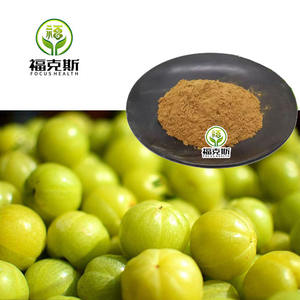 Usine Top Qualité Meilleur <span class=keywords><strong>Amla</strong></span> Fruit Extrait Poudre Organique <span class=keywords><strong>Amla</strong></span> Extrait Poudre pour Cheveux - Product Image 4