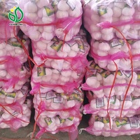 Prix CIF à Valparaiso Chili de l'ail blanc, ail blanc pur chinois frais 4p
