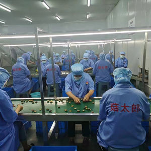 <span class=keywords><strong>Cordyceps</strong></span> kering alami Militaris jamur Sulfur, stok baru, harga grosir pabrik untuk penggunaan rumah tangga komersial - Product Image 3