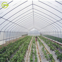 Meilleure vente : filet anti-insectes en HDPE vierge pour la protection