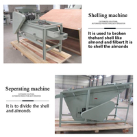 Ligne de production de pâte de pistache de haute qualité TCA, machine à décortiquer et à peler les noisettes, 1 tonne/heure