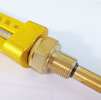 Customizable OEM ODM Adjustable Glass Marine Thermometer Frequency Temperature Gauge Instrument