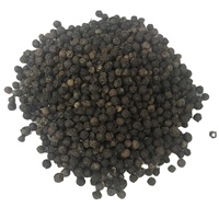 Semua Grade Lada Hitam Mentah Kering AD Vietnam Grosir Kualitas Tinggi 500/550 G/L Asal Kontak WS +84 35 254 2206