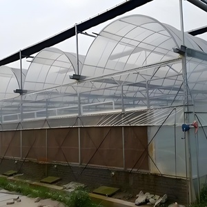 Hot Selling Multi-Span Landwirtschaft liches Gewächshaus PE Kunststoff Tertilien Gewächshaus für Tomaten Obst/Gemüse Pflanzen Aluminium rahmen - Product Image 1