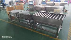 중량 측정 기계 디지털 컨베이어 벨트 체크 웨이어 중량 분류 기계 측정 범위 5-15KG - Product Image 4