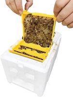 ZHILI BEE Nouveau design Mini boîte de reproduction en mousse de polystyrène pour reine, kit d'élevage 4 cadres, ruche en EPS 24x16x18cm, garantie 3 mois, 0.7kg