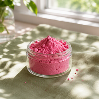 Voedingsmiddelenkwaliteit fabrieks prijs hoge kwaliteit fruitpoeder roze guavapoeder