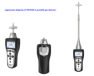 ZETRON MS104K-L 가스 감지기 펌프 흡입형 산업용 가스 누출 감지용 스완넥 샘플링 프로브 포함 - Product Image 3