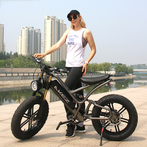 Bicicleta de Montaña MTB 2023 en Oferta, 48V 750W, 20*4.0'', Amortiguador Hidráulico de Aluminio, 7 Velocidades, Amortiguador Hidráulico 48V 750W 20* - Product Image 3