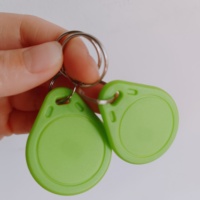 Vente en gros Mini porte-clés NFC RFID Tag 213 215 216 Maison porte-clés en plastique avec des caractéristiques spéciales