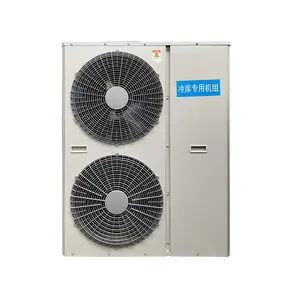 Cold Room Storage Supermarket Cooling Machine Electricity Vfd Invert Frequency Conversion Air Cooled Condensing Unit