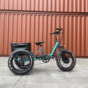 Triciclo elettrico ad alta velocità di ebike del carico più venduto con la gomma grassa per le persone anziane