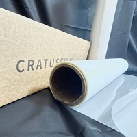 Design personnalisé Plastisol en fer Papier d'impression par transfert de chaleur Vinyle pour sérigraphies DTF Transferts pour vêtements en plastique caoutchouc