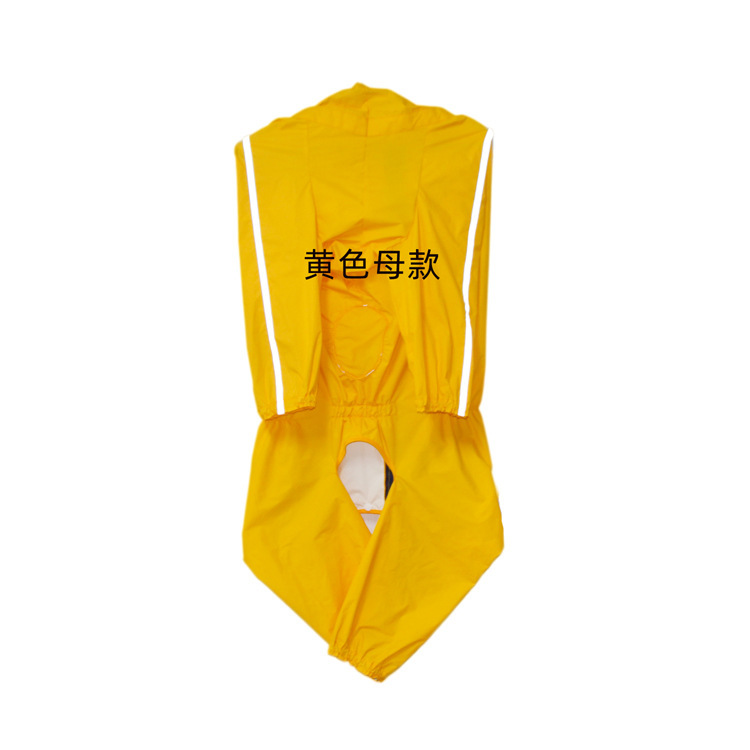 Chienne jaune