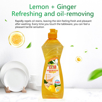 Détergent liquide jetable écologique OEM 500g parfum citron pour vaisselle et lessive – Haute qualité, élimination facile de l'huile