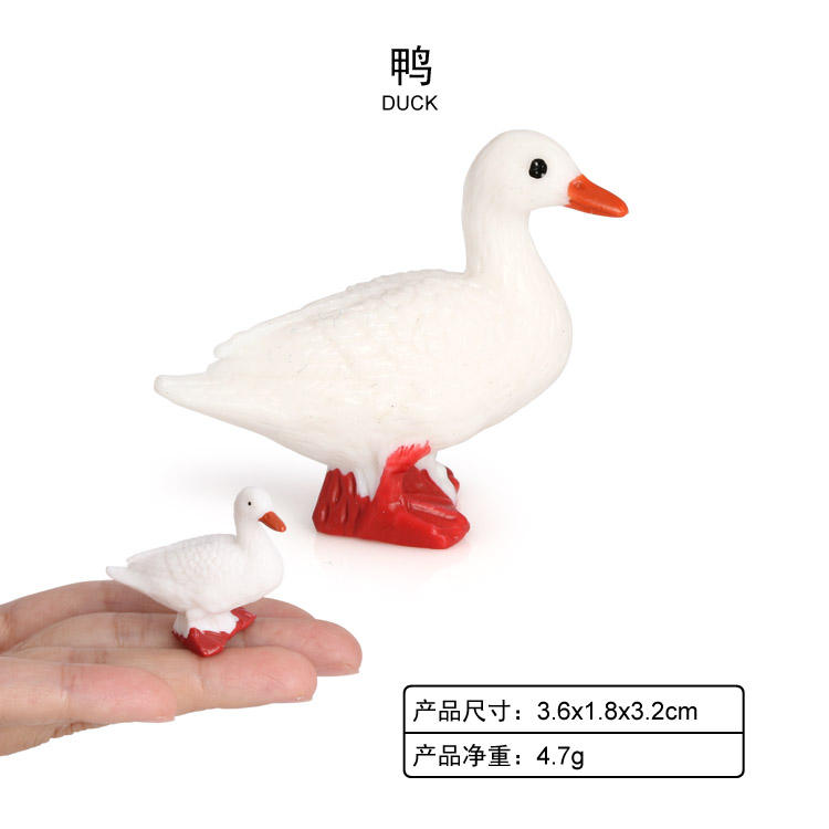 2084 Duck