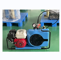 Compresseur d'air respiratoire haute pression Portable Water Sport 300bar 100L/min pour pompe de gonflage de bouteille de plongée