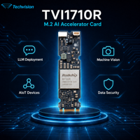 Kartu Coprocessor AI Techvision 1710R RK1828 20 TOPS Modul NPU M.2 2280 Integrasi Sempurna dengan Semua SMARC SOM & Carrier Board