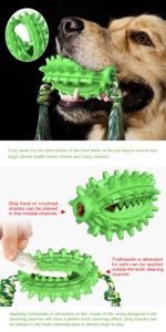Juguetes para Perros con Cuerda, Cactus, Mordedor, Cepillo de Dientes, para Teddy, Corgi, Schnauzer, Bulldog Francés, Juguetes Masticables para Mascotas - Product Image 5