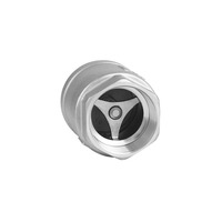 Clapet anti-retour à ressort en acier inoxydable 304SS pour eau, huile, vapeur, 3/4 pouces, haute température