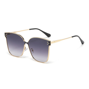 Jamie 2449 Large Frame Sunglasses Metal Frame UV400 Protection Unisex Travel Style - Product Image 1