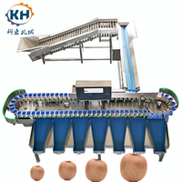 Universele automatische sorteermachine voor het verwerken van uien, knoflook, bosbessen & zeevruchten, gespecialiseerd in aardappelen