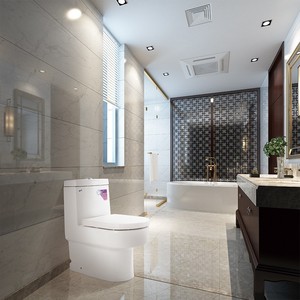 WC Monoblocco Moderno Minimalista in PVC con Scarico a Sifone, Risparmio Idrico, Montaggio a Pavimento, con Potente Scarico e Getto Spray - Product Image 2