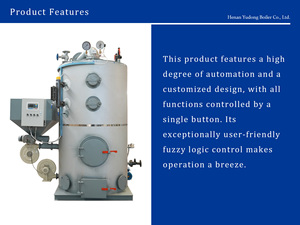 Chaudière à eau chaude automatique à granulés de bois biomasse à économie d'énergie pour le chauffage domestique, hôtelier et de villas, basse pression pour usage industriel - Product Image 5